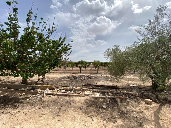 Image No.42-3 Bed Villa for sale