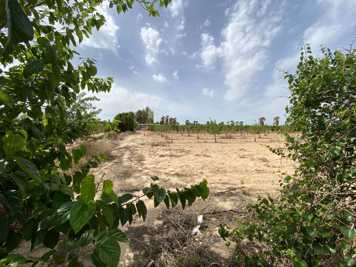 Image No.47-3 Bed Villa for sale