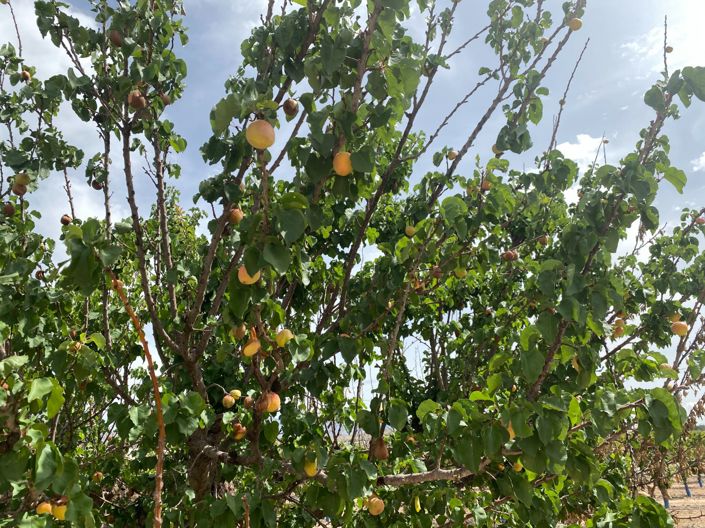 Image No.48-3 Bed Villa for sale