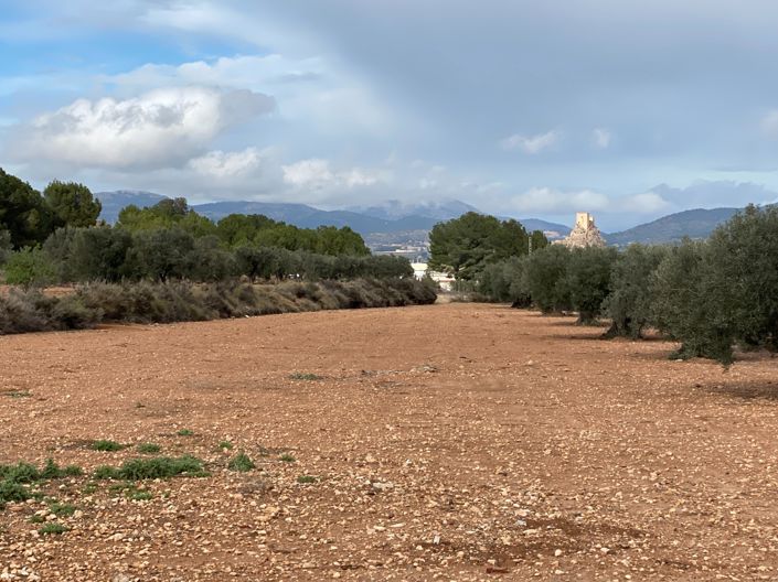 Image No.2-2 Bed Finca for sale