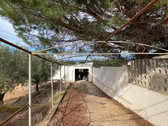 Image No.3-2 Bed Finca for sale