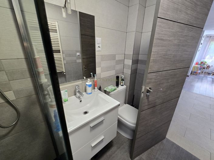 Image No.17-4 Bed Finca for sale