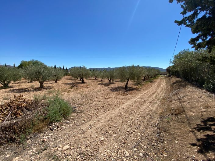 Image No.49-3 Bed Country House for sale