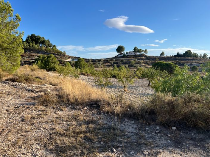 Image No.21-1 Bed Finca for sale