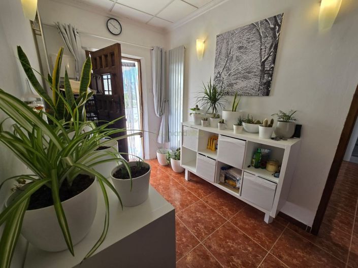 Image No.17-Finca for sale