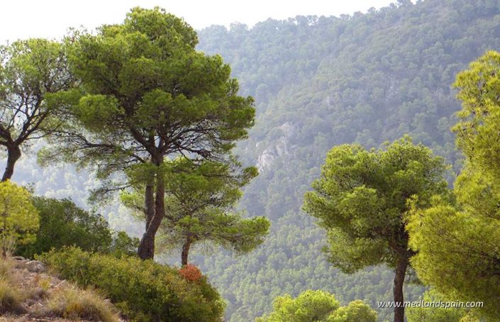 Image No.12-2 Bed Apartment for sale