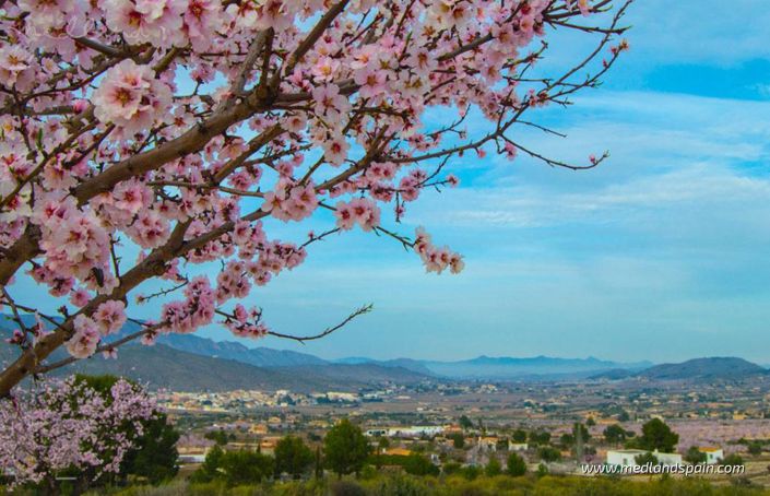 Image No.13-2 Bed Apartment for sale