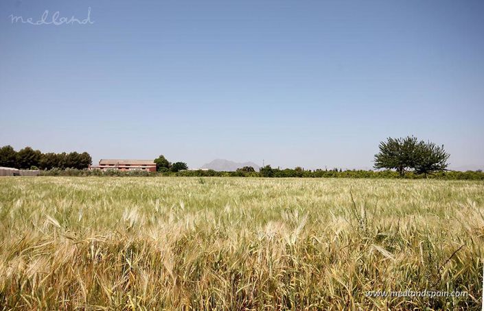 Image No.7-3 Bed Villa for sale