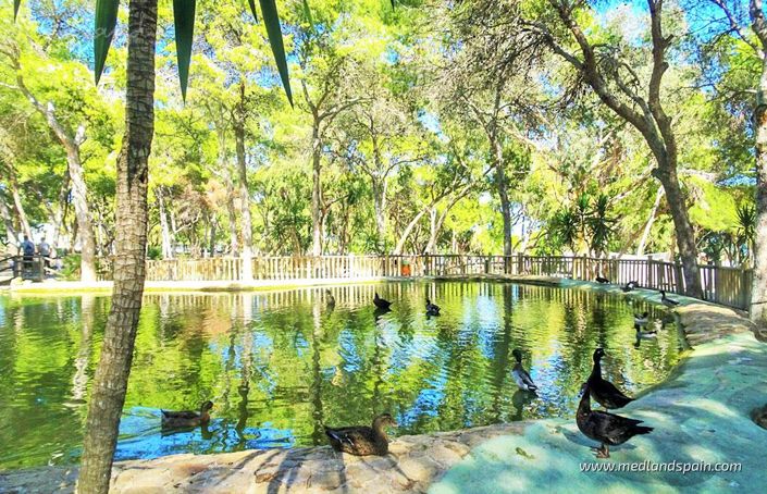 Image No.15-2 Bed Apartment for sale