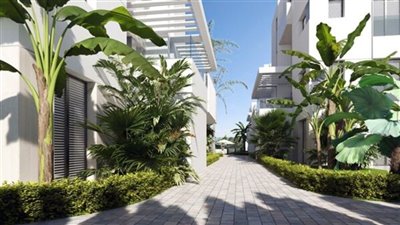 74124-for-sale-in-santa-rosalia-resort-309237