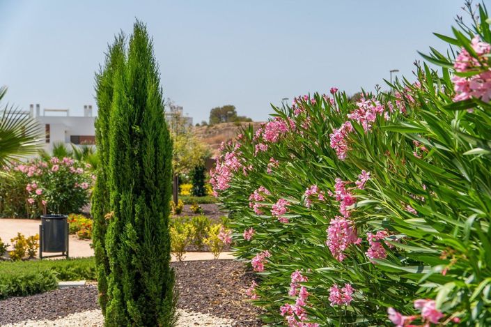 Image No.22-2 Bed Bungalow for sale