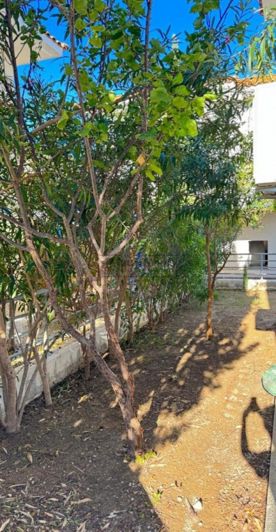 Image No.5-2 Bed Villa for sale