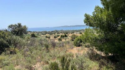 1 - Portocheli, Plot