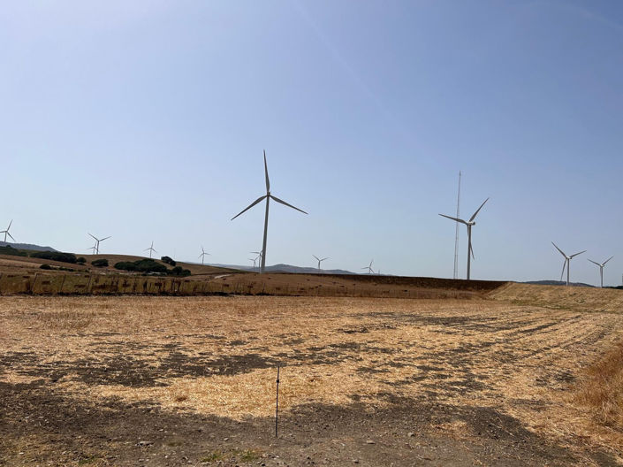 Image No.7-Plot for sale