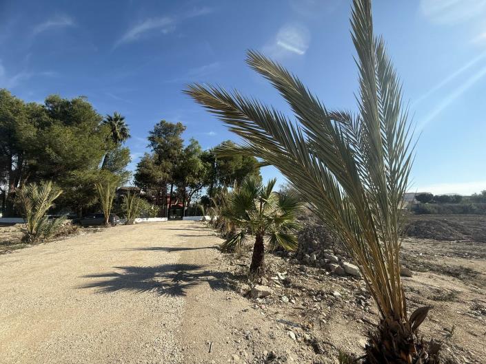 Image No.25-5 Bed Country House for sale