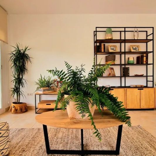 Image No.13-2 Bed Villa for sale