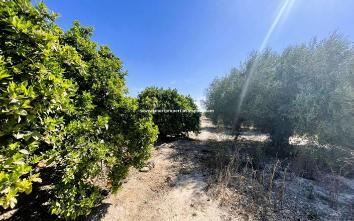 Image No.4-3 Bed Country House for sale