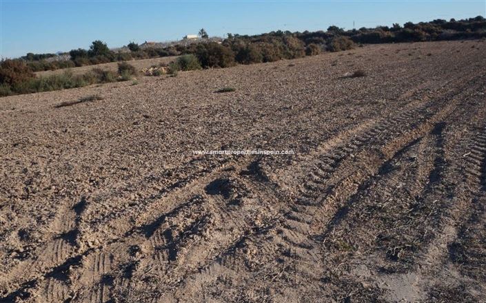 Image No.3-Plot for sale