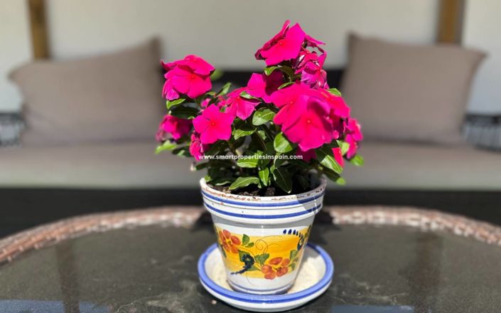 Image No.48-5 Bed Villa for sale