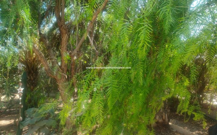 Image No.45-1 Bed Country House for sale