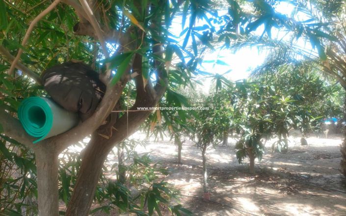 Image No.47-1 Bed Country House for sale