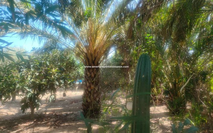 Image No.50-1 Bed Country House for sale