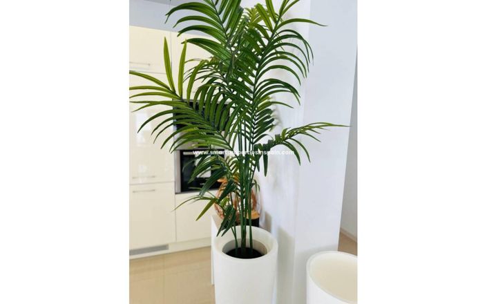 Image No.37-3 Bed Villa for sale