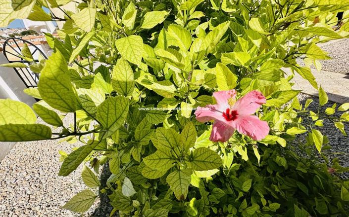 Image No.21-3 Bed Villa for sale