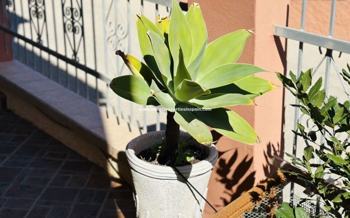 Image No.23-2 Bed Villa for sale