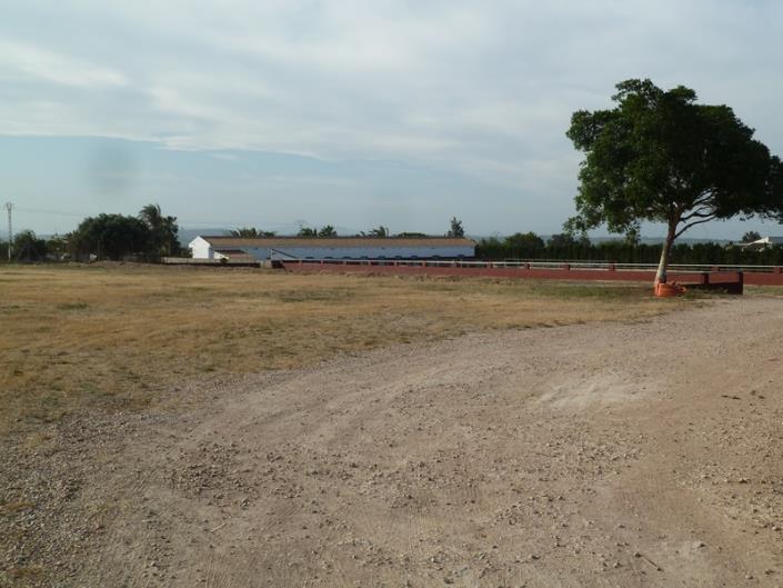 Image No.8-Finca for sale