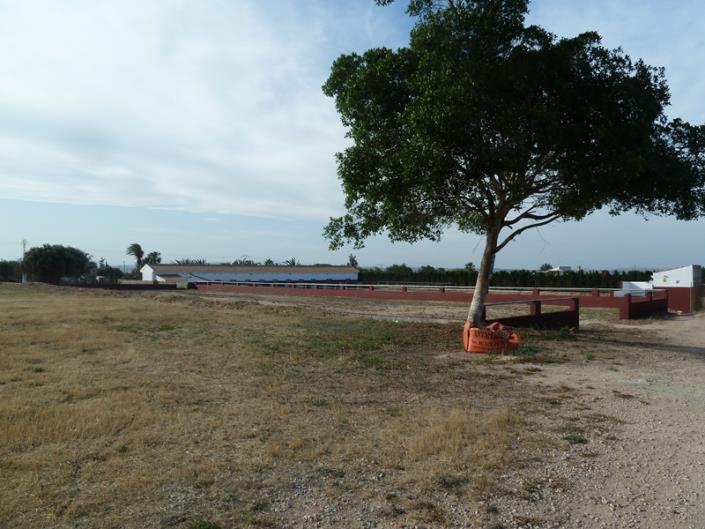 Image No.10-Finca for sale