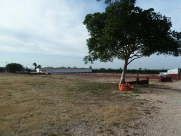 IMG-20231107-WA0011