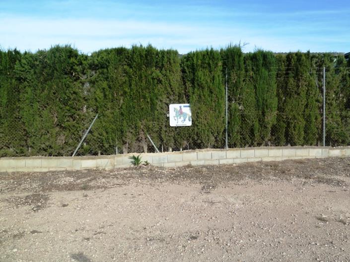 Image No.21-Finca for sale