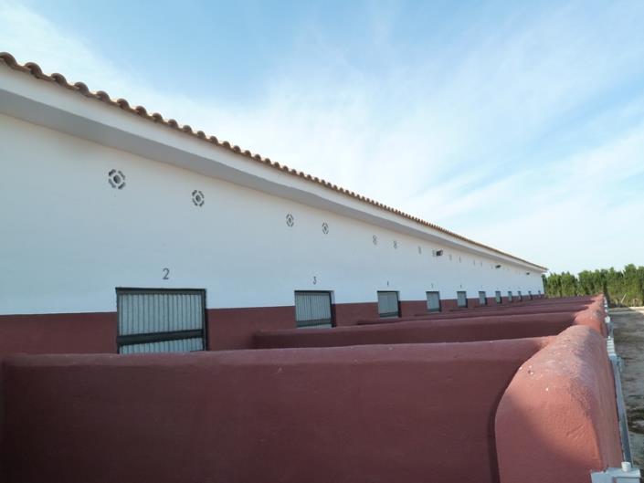 Image No.23-Finca for sale