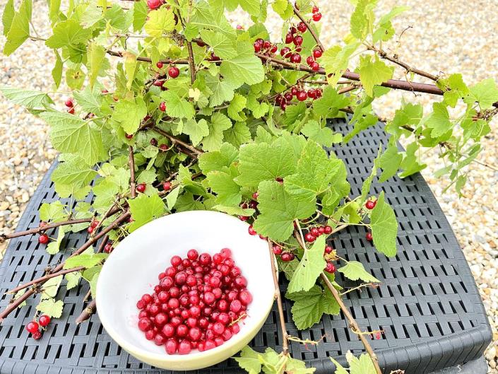 Image No.18-9 Bed Villa / Detached for sale