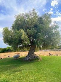 PHOTO-2022-04-20-16-07-31