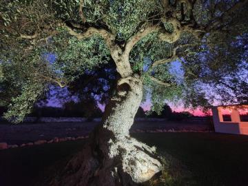 PHOTO-2022-04-20-16-07-38