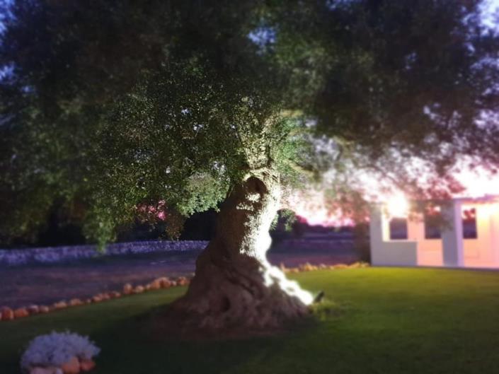 Image No.26-3 Bed House/Villa for sale