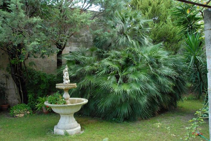 Image No.26-4 Bed House for sale