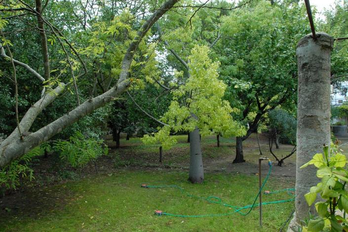 Image No.29-4 Bed House for sale