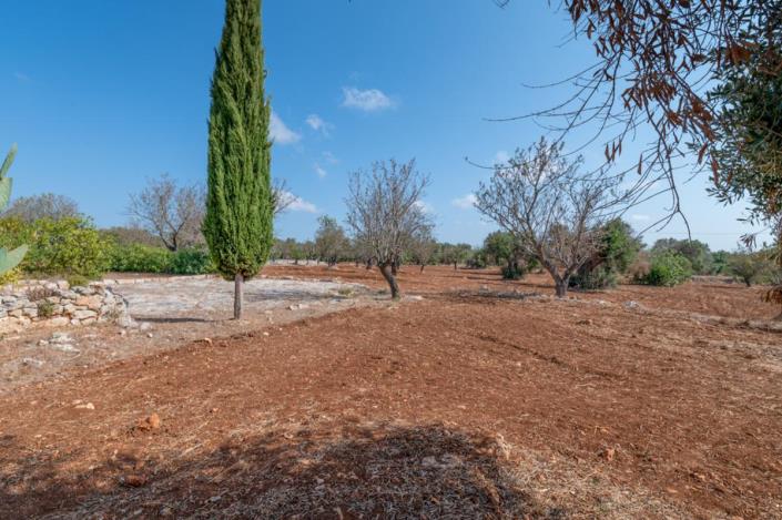 Image No.46-3 Bed Villa for sale