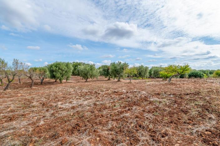 Image No.9-2 Bed Trullo for sale