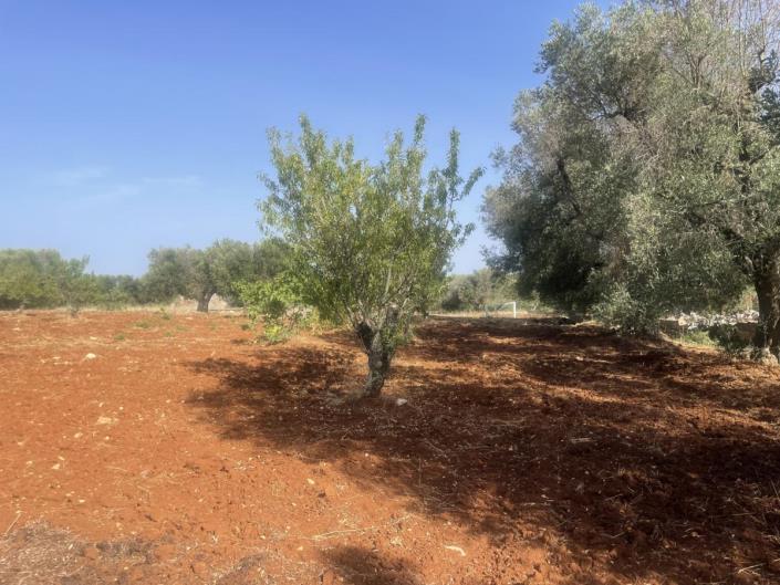 Image No.17-2 Bed Trullo for sale