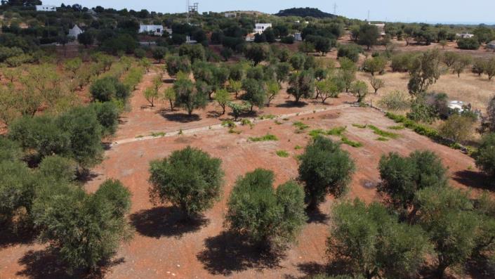 Image No.7-3 Bed Villa for sale