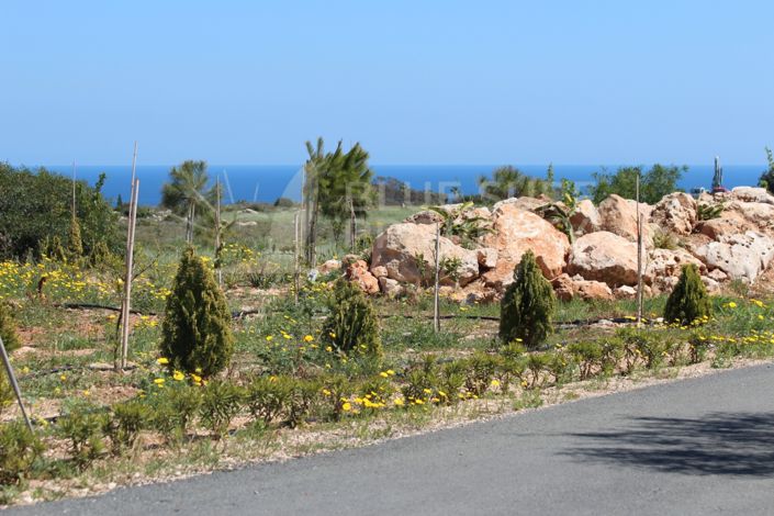 Image No.30-5 Bed Villa for sale