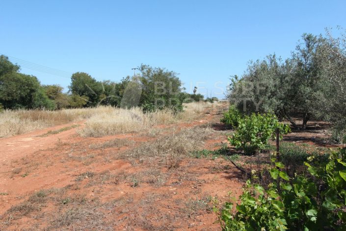 Image No.3-Property for sale