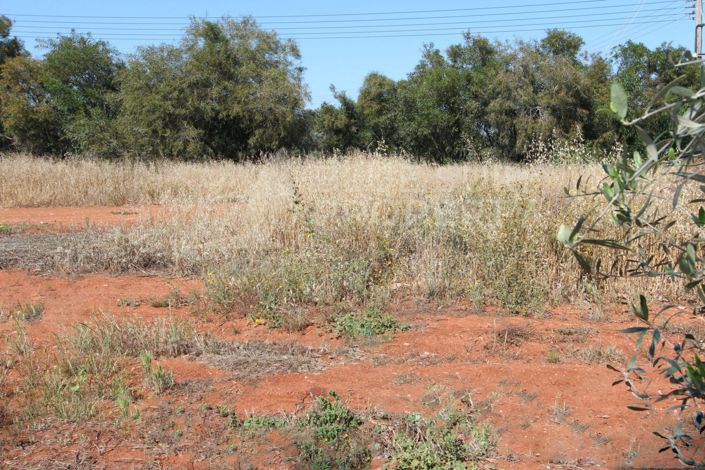 Image No.5-Property for sale