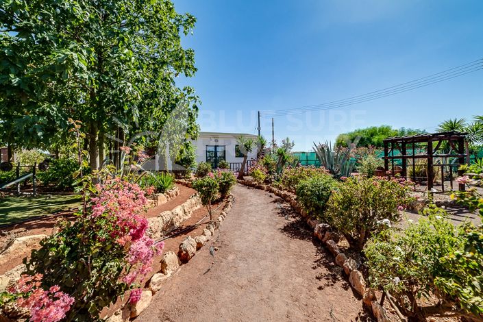 Image No.35-3 Bed Villa for sale