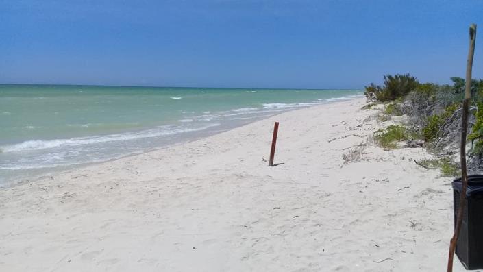 Image No.19-4 Bed House/Villa for sale