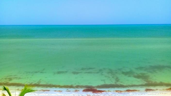 Image No.25-4 Bed House/Villa for sale